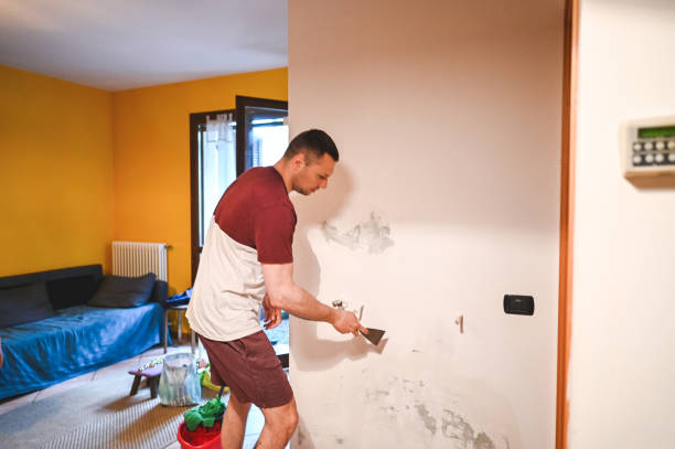 Best Residential Mold Remediation in Walled Lake, MI